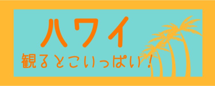 ハワイの観光！